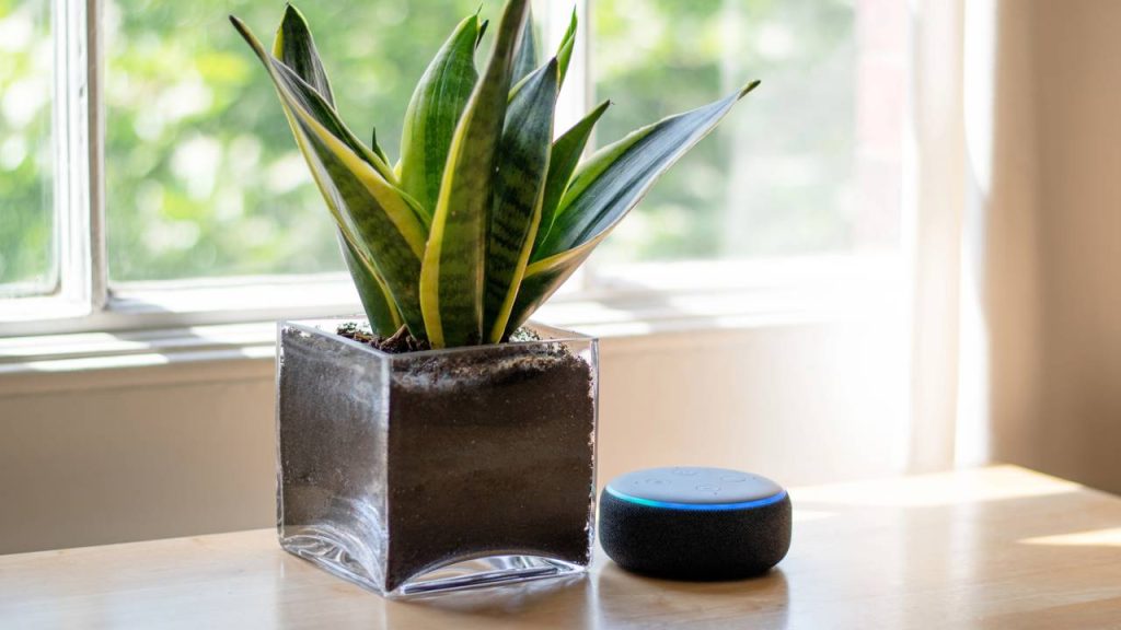 Veja como assistentes virtuais controlam sua casa sem precisar de reformas