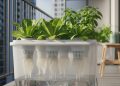 Transforme sua varanda em uma horta cheia de plantas sem usar terra
