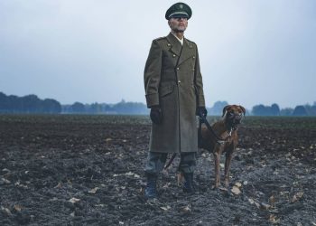 Animais que mudaram o rumo da história: As batalhas reais que eles venceram antes dos humanos perceberem