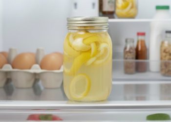 Um frasco de cascas de limão e álcool é o método eficaz da limpeza da geladeira