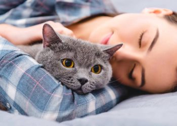 Dormir com seu pet na cama: o que a psicologia revela sobre seu vínculo emocional?