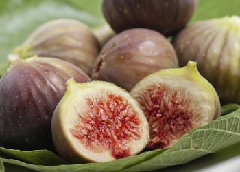 Colha figos docinhos na sua varanda: o guia para plantar em vasos sem erro