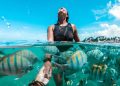 Por que as piscinas naturais de Porto de Galinhas são uma aventura inesquecível