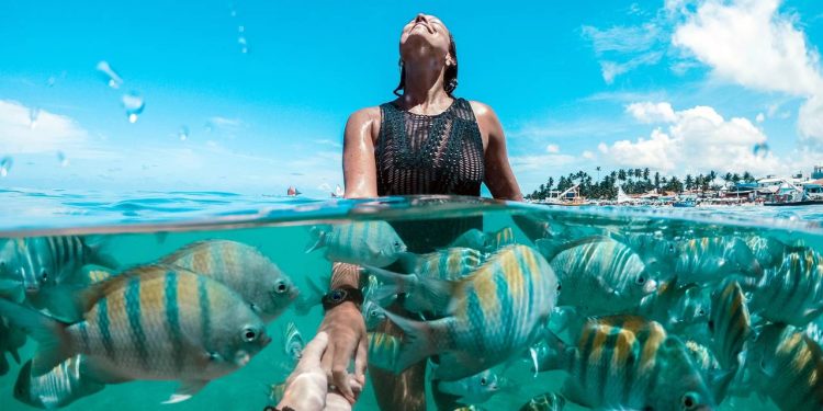 Por que as piscinas naturais de Porto de Galinhas são uma aventura inesquecível