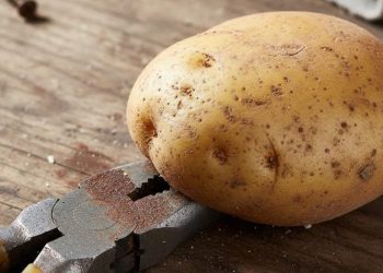 Adeus ferramentas velhas: como remover ferrugem usando apenas uma batata crua e ingredientes da sua cozinha
