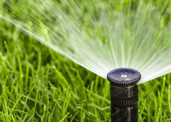Sistemas de irrigação automáticos: a solução silenciosa que está mudando o cuidado com plantas em casa