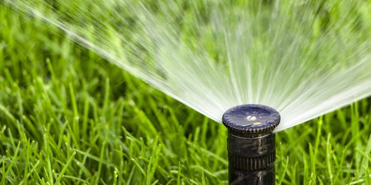 Sistemas de irrigação automáticos: a solução silenciosa que está mudando o cuidado com plantas em casa