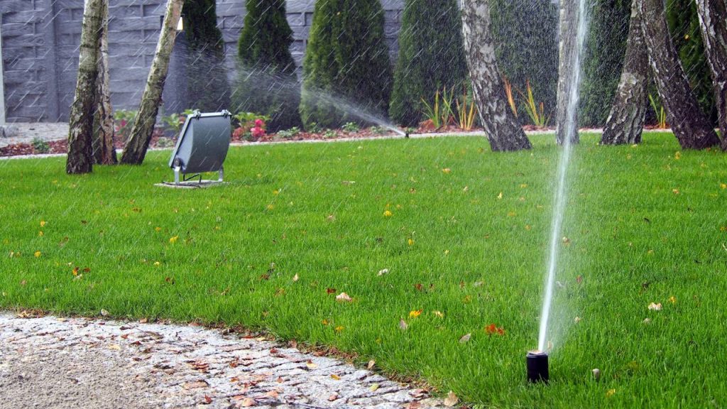 Sistemas de irrigação automáticos: a solução silenciosa que está mudando o cuidado com plantas em casa