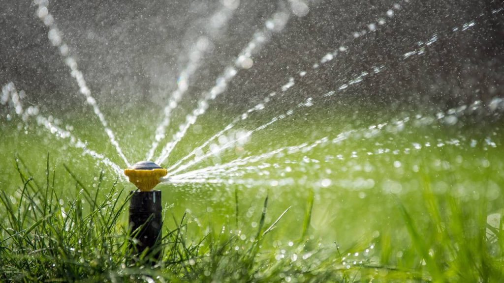 Sistemas de irrigação automáticos: a solução silenciosa que está mudando o cuidado com plantas em casa