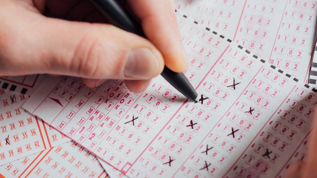 Repetir sempre os mesmos números na loteria cria segurança emocional, mas esconde um engano comum