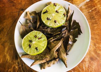 Receitas simples e barata para afastar moscas e baratas de casa sem produtos químicos