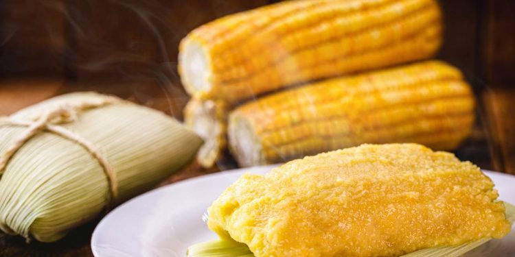 Pamonha doce tradicional: receita simples e irresistível com milho verde e coco