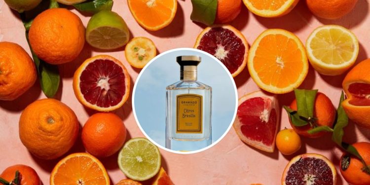 6 perfumes femininos frescos para os dias quentes de verão