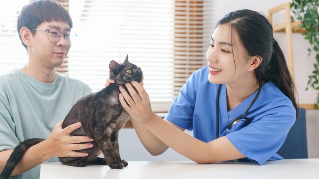 O hábito de conversar com o pet pode dizer muito sobre você