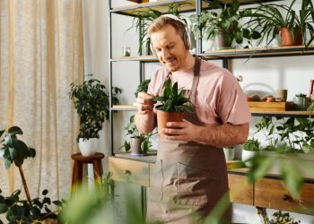 Ter muitas plantas em casa diz mais sobre você do que parece