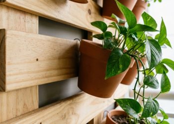 Qual o valor real para montar um jardim vertical no seu apartamento sem gastar muito