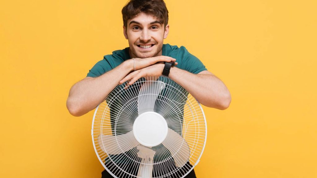 limpeza de ventilador
