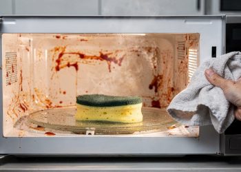 A técnica da esponja com água substitui produtos químicos na limpeza do micro-ondas