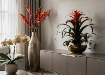A planta trepadeira que cria uma sombra perfumada e refresca a varanda no calor