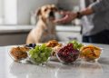 Atenção: estes 5 alimentos comuns podem levar seu cachorro ao veterinário se forem ingeridos