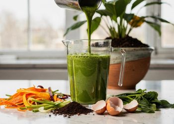 Transforme o lixo orgânico da sua cozinha em um adubo líquido que as plantas adoram