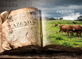 Palavras que mudaram de significado ao longo do tempo