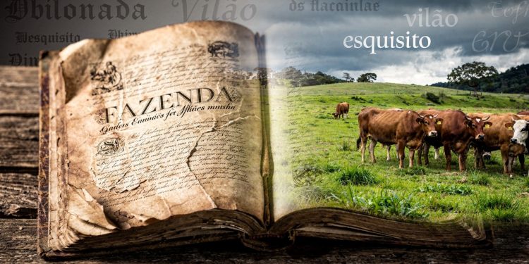 Palavras que mudaram de significado ao longo do tempo