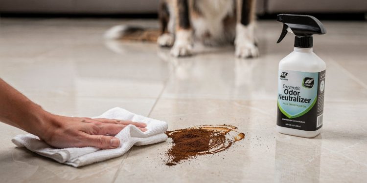 Cheiro de xixi de cachorro? A tática surpreendente com café que elimina o cheiro de vez