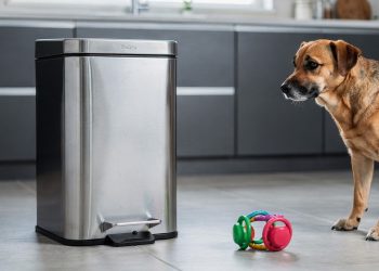 Seu cachorro fica revirando o lixo? Aprenda como resolver o problema sem estresse para você e seu bichinho