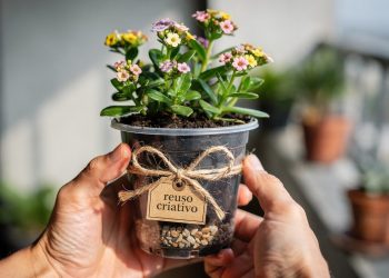 Reutilizar embalagens de iogurte transforma varanda e jardim sem gastar quase nada