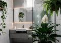As 3 plantas que deixam o seu banheiro mais elegante e ajudam a eliminar o mau cheiro