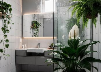 As 3 plantas que deixam o seu banheiro mais elegante e ajudam a eliminar o mau cheiro