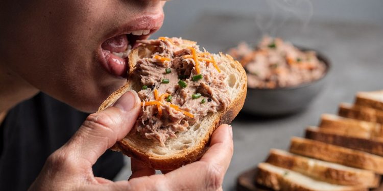Patê de atum para sanduíche deixa lanches e entradas mais práticos no dia a dia