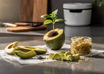 Casca de abacate para que serve e por que não convém tirá-la em casa