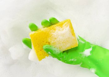 A esponja de cozinha parece inofensiva, mas pode concentrar mais bactérias do que o banheiro todo
