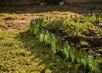Como garrafas de vidro no jardim organizam espaços e transformam o visual