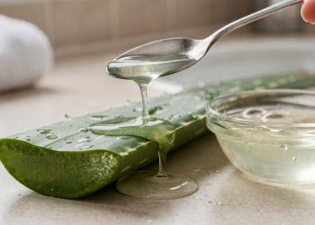 Como usar a famosa aloe vera no cabelo para ter brilho e hidratação de salão em casa?