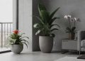 Aposte nestas flores brasileiras para valorizar ambientes modernos e limpos