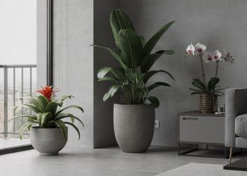Aposte nestas flores brasileiras para valorizar ambientes modernos e limpos