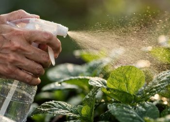 É só misturar vinagre com detergente e você nunca mais vai gastar com venenos caros