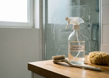 4 formas de como usar vinagre branco na limpeza do banheiro de forma inteligente e simples