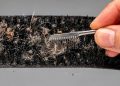 Como remover fiapos do velcro e recuperar a aderência sem danificar o fecho
