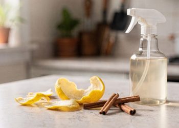 Acabe com as pragas do jardim usando apenas limão e canela de forma simples