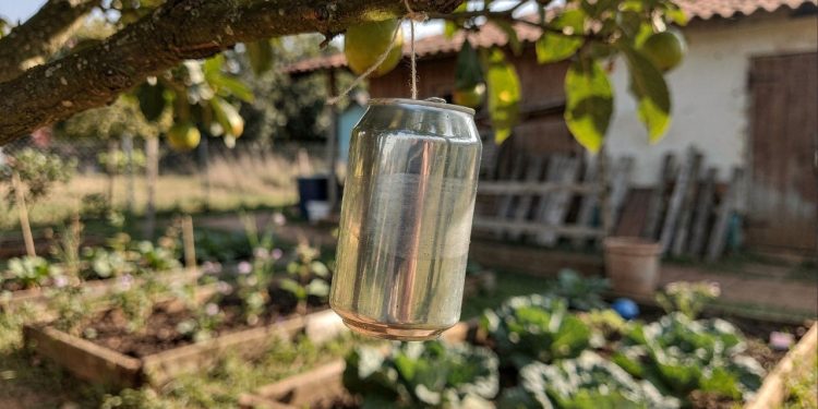 Pendurar latinhas no jardim afasta pássaros, reaproveita materiais e movimenta a energia do espaço