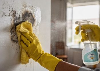 Como limpar manchas de umidade das paredes sem danificar a pintura