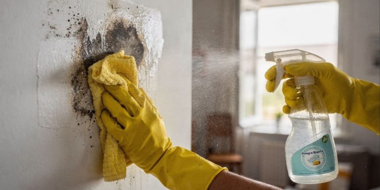 Como limpar manchas de umidade das paredes sem danificar a pintura