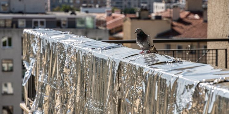 O truque simples com papel alumínio que afasta pombas e mantém a varanda limpa