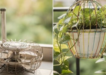 Ventilador de pé velho é um tesouro para o seu jardim como transformar em um vaso de plantas criativo