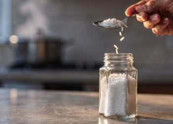Por que muitas pessoas colocam arroz cru no saleiro e como esse truque mantém o sal soltinho?