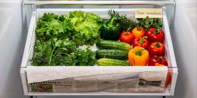 Como guardar jornal na gaveta de legumes evita desperdício e faz frutas e verduras durarem muito mais